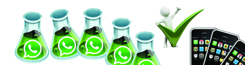 Whatsapp Logo in Reagenzgläser